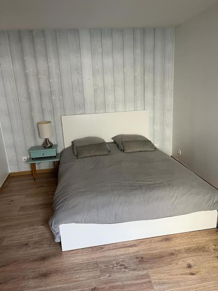 Maison Proche Du Chateau Apartment